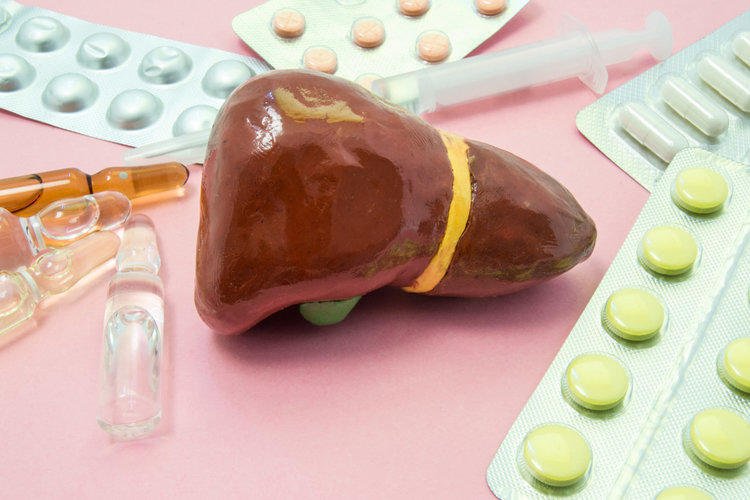 Liver treatment medications based on animal components