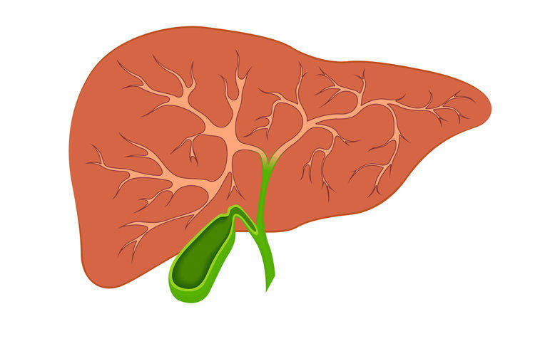 Symptoms and signs of gallbladder disease