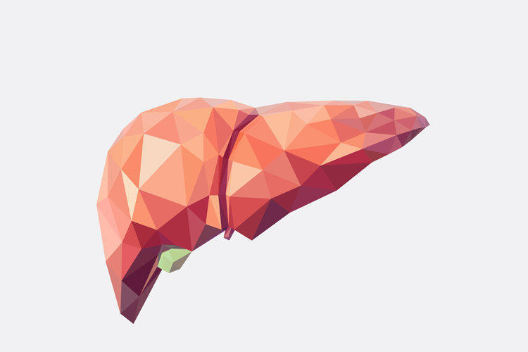 The best drugs for the liver: hepatoprotectors with proven effectiveness