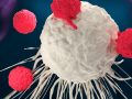 A new method in cancer immunotherapy