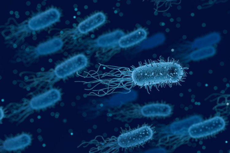 The main reason for antibiotic resistance has been found within humans