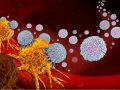 New immunotherapy kills all types of cancer