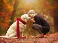 Dog ownership linked to longer life in two new studies